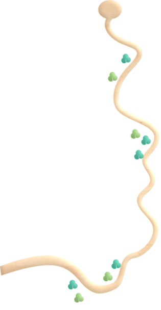 雄獅鉛筆廠股份有限公司